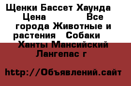 Щенки Бассет Хаунда  › Цена ­ 25 000 - Все города Животные и растения » Собаки   . Ханты-Мансийский,Лангепас г.